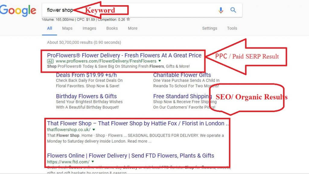 Search Engine Result Pages